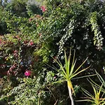 Casa de hóspedes Il Giardino Di Anna - Charming In Cagliari