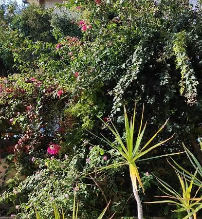 Penzion Il Giardino Di Anna - Charming In Cagliari