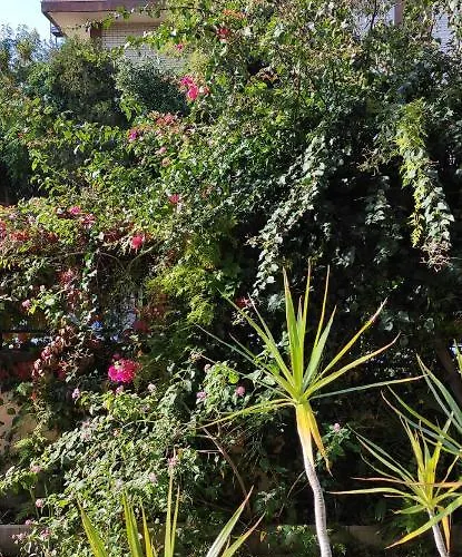 Penzion Il Giardino Di Anna - Charming In Cagliari